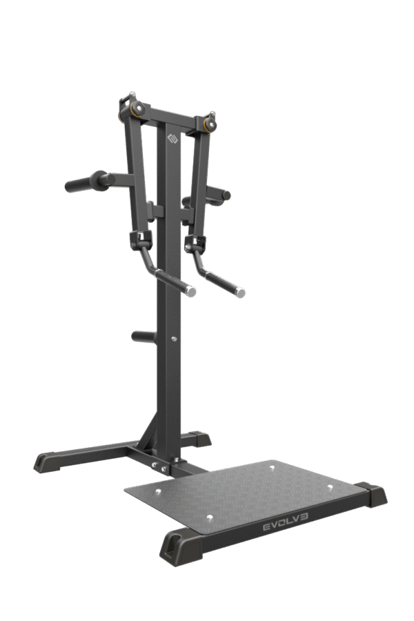 Evolve Econ Series Plate Loaded Standing Lateral Raise (EC-020)