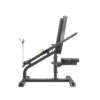 Evolve Econ Series Plate Loaded Biceps & Triceps (EC-200)