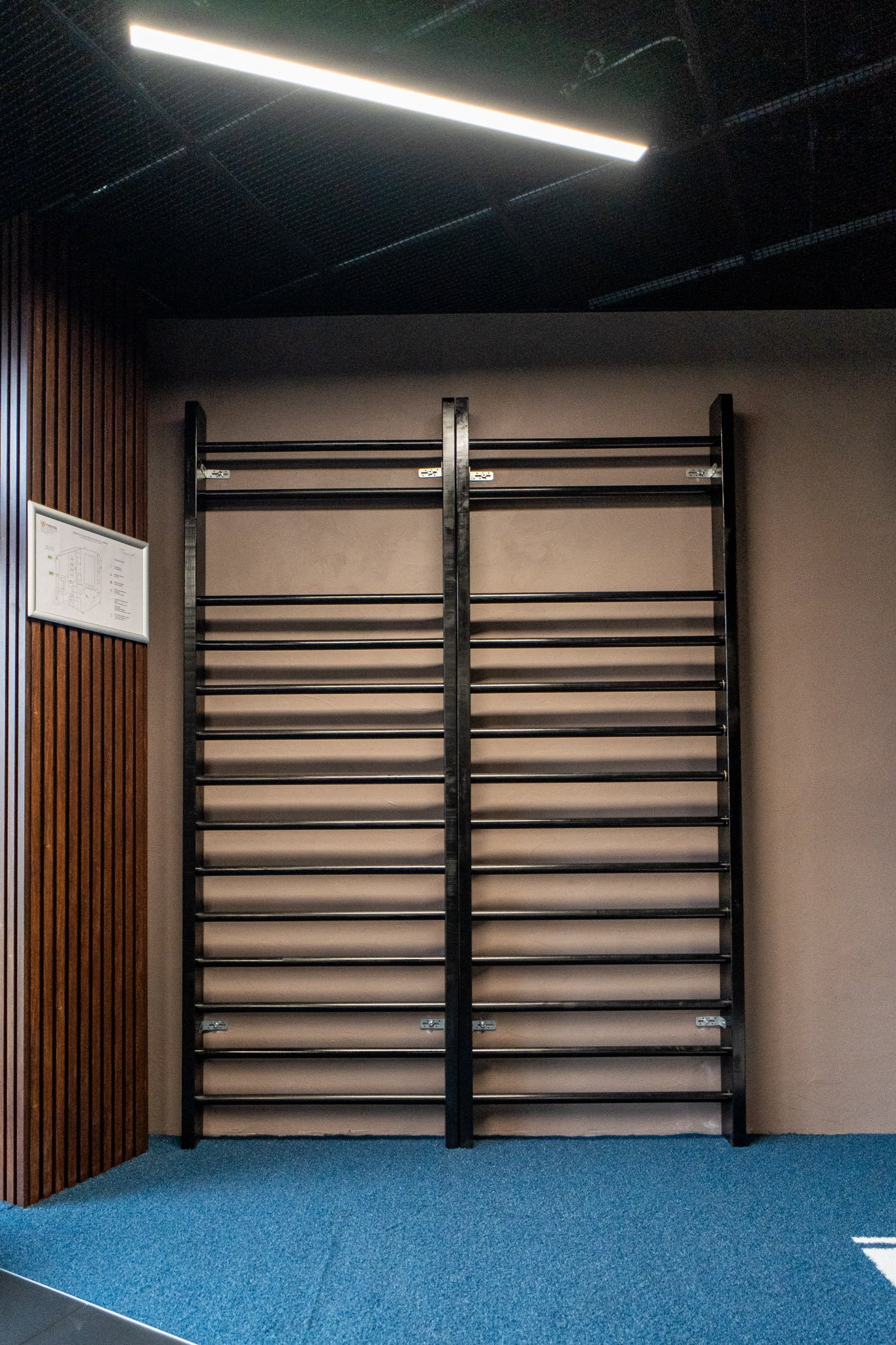 Evolve Wall Bars (GW-25B)